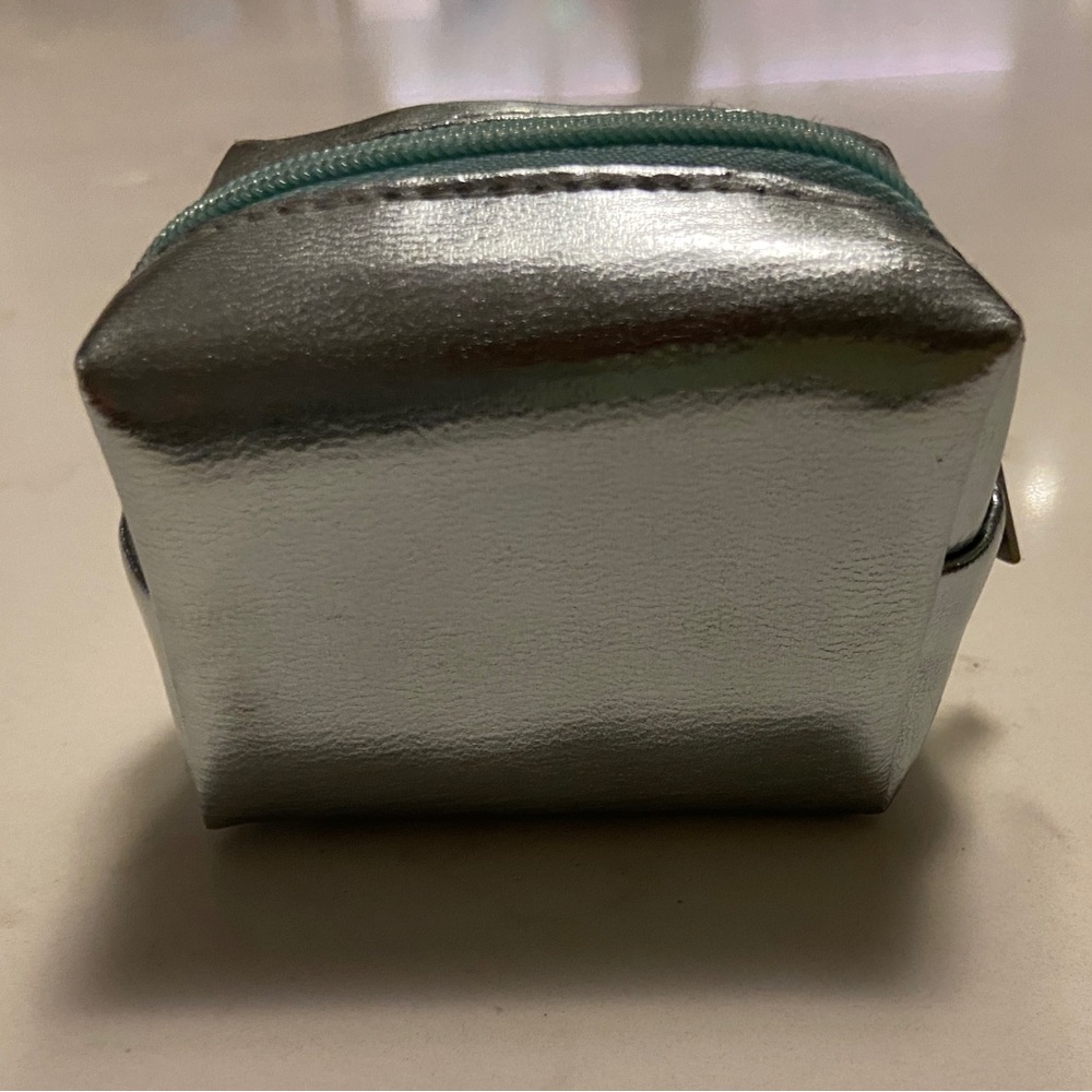 Metallic silver zippy pouch